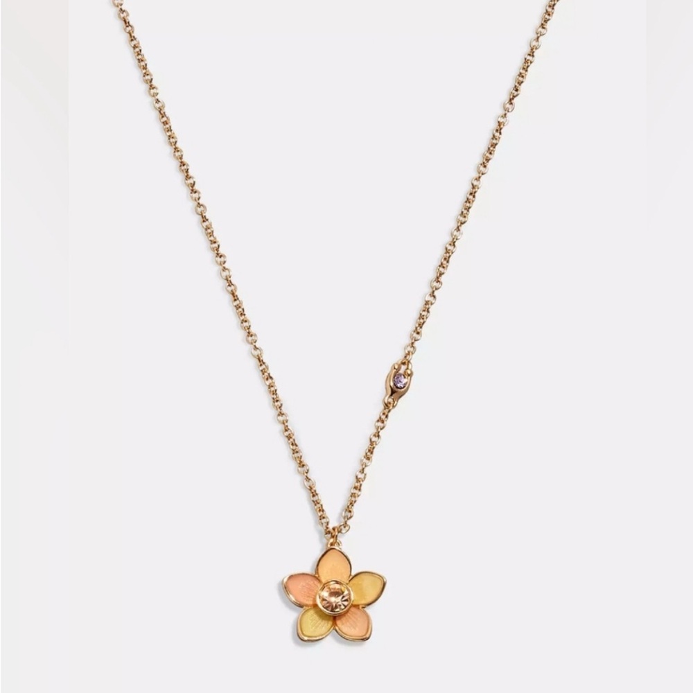 NWT Coach‎ Transparent Wildflower Necklace